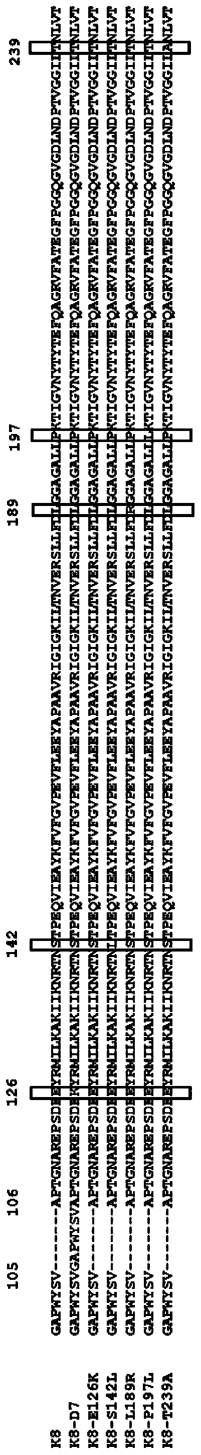 Pseudomonas aeruginosa phage K8 hypothetical protein GP075, mutant strain, mutant protein and application thereof