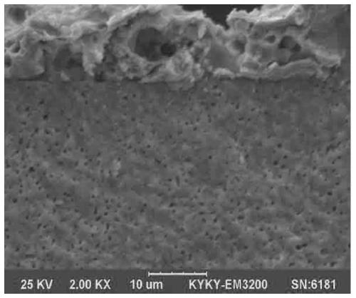 Based on ag-srtio  <sub>3</sub> Symmetric sofc of electrode and preparation method thereof