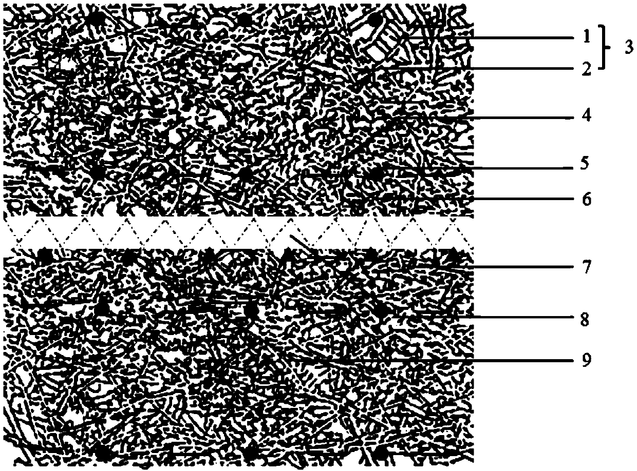 High and steep slope reinforcing and greening device and method