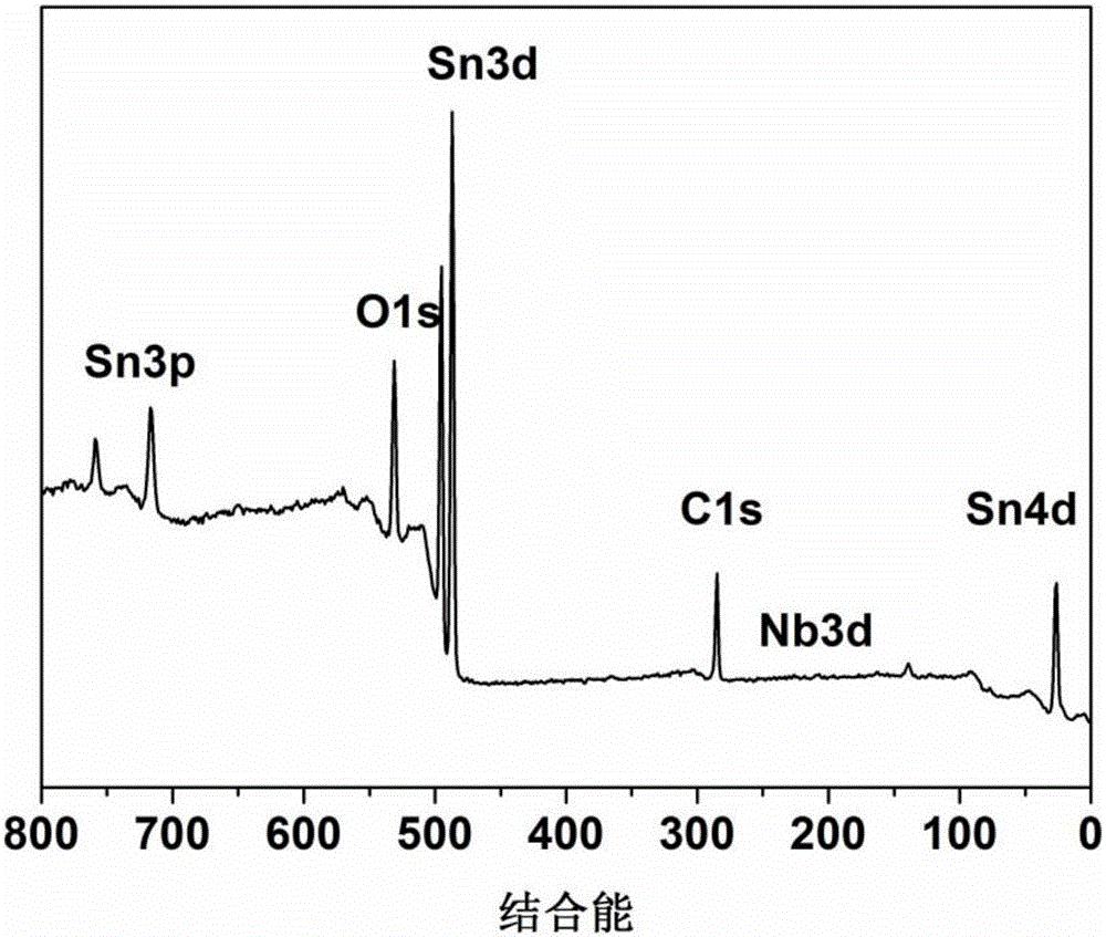 Niobium-doped tin dioxide thin film lithium ion battery negative pole plate, preparation method thereof and lithium ion battery