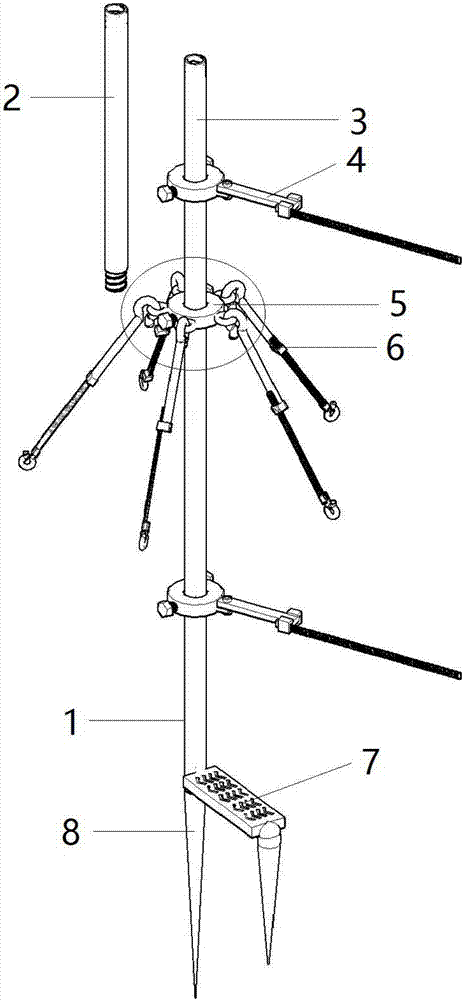 Branch fixing structure for red peach planting