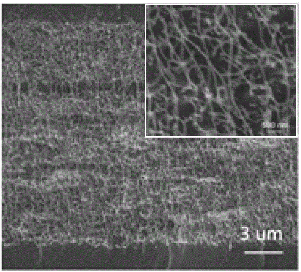 Method and device for preparing vertical orderly carbon nano tube/polyaniline composite membrane