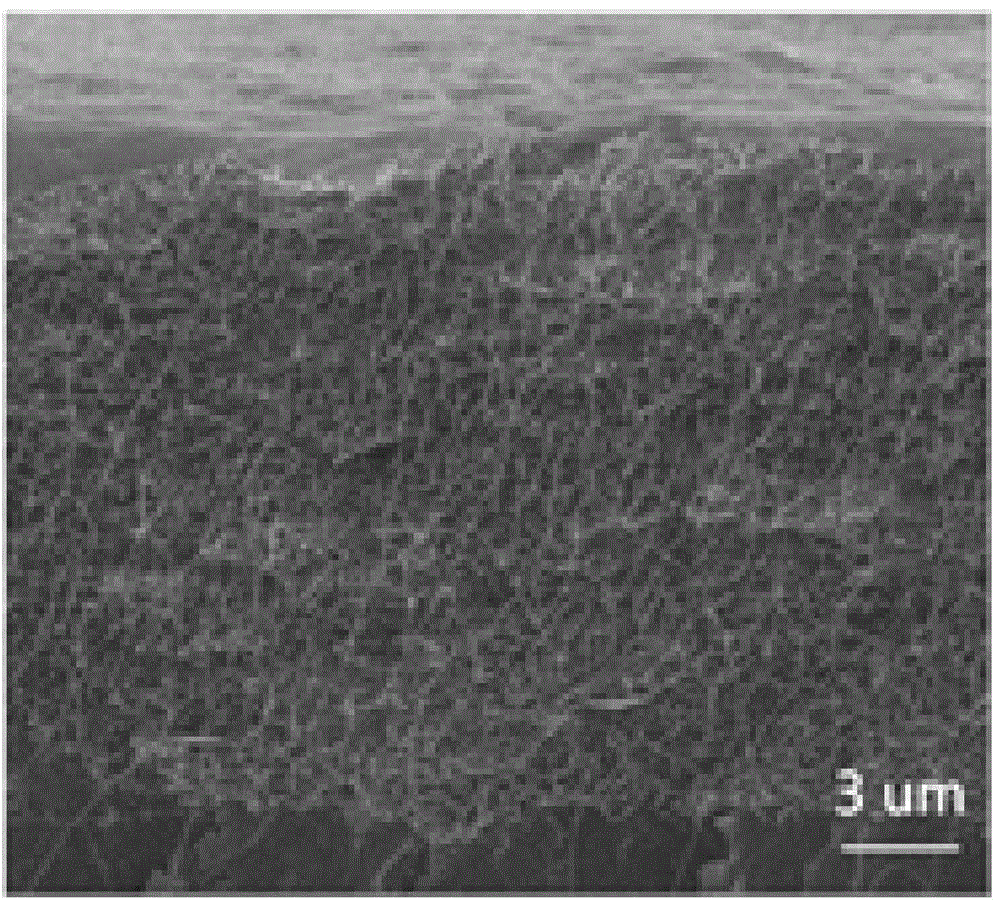 Method and device for preparing vertical orderly carbon nano tube/polyaniline composite membrane