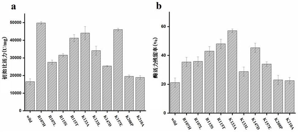 A self-cleavage resistant and high specific activity trypsin mutant