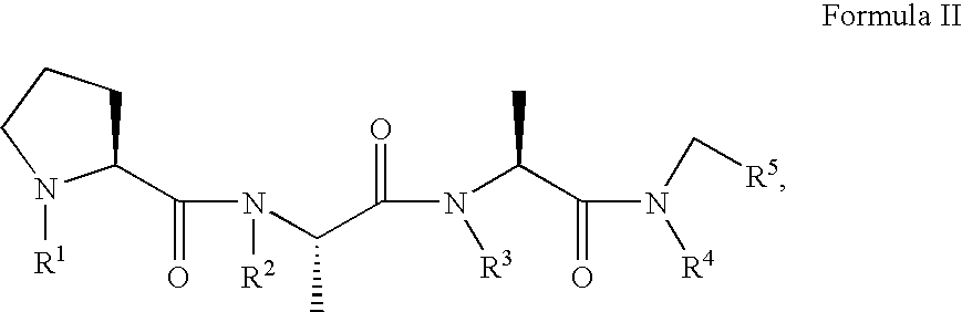 Prion inhibiting peptides and derivatives thereof