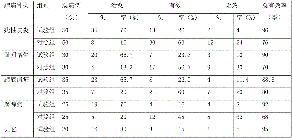 Milk cow hoof protection paste capable of enhancing immunity and preparation method thereof