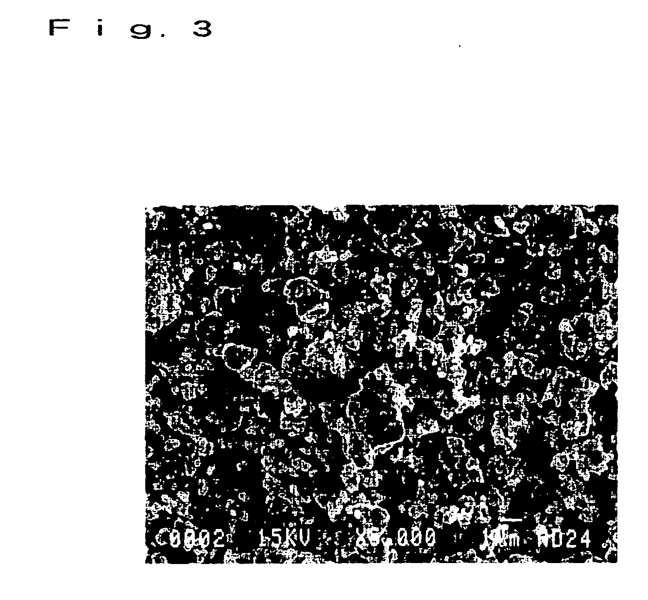 Silver particle powder and method of manufacturing same