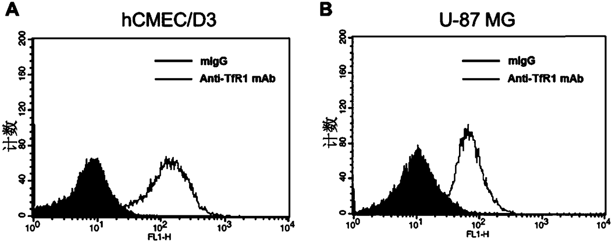 Nano-drug carrier crossing blood cerebral barrier