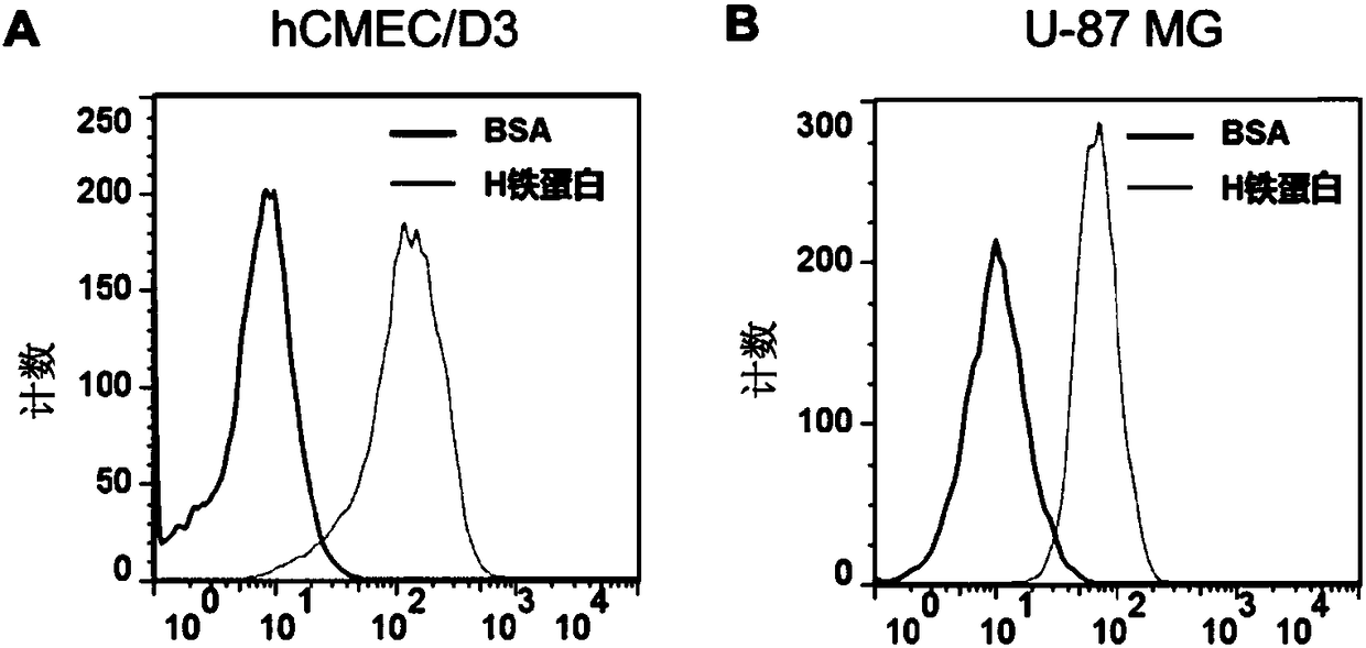 Nano-drug carrier crossing blood cerebral barrier