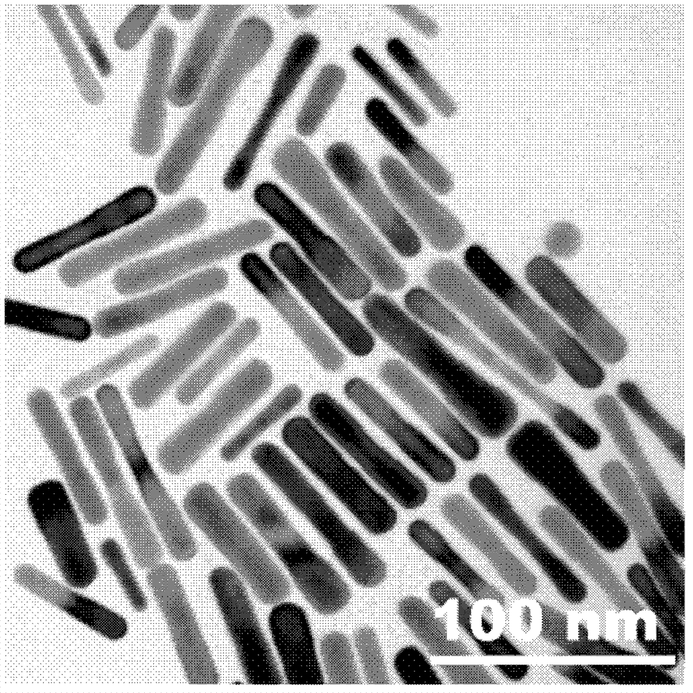 Gold nanorod with high yield and great slenderness ratio and preparation method of gold nanorod