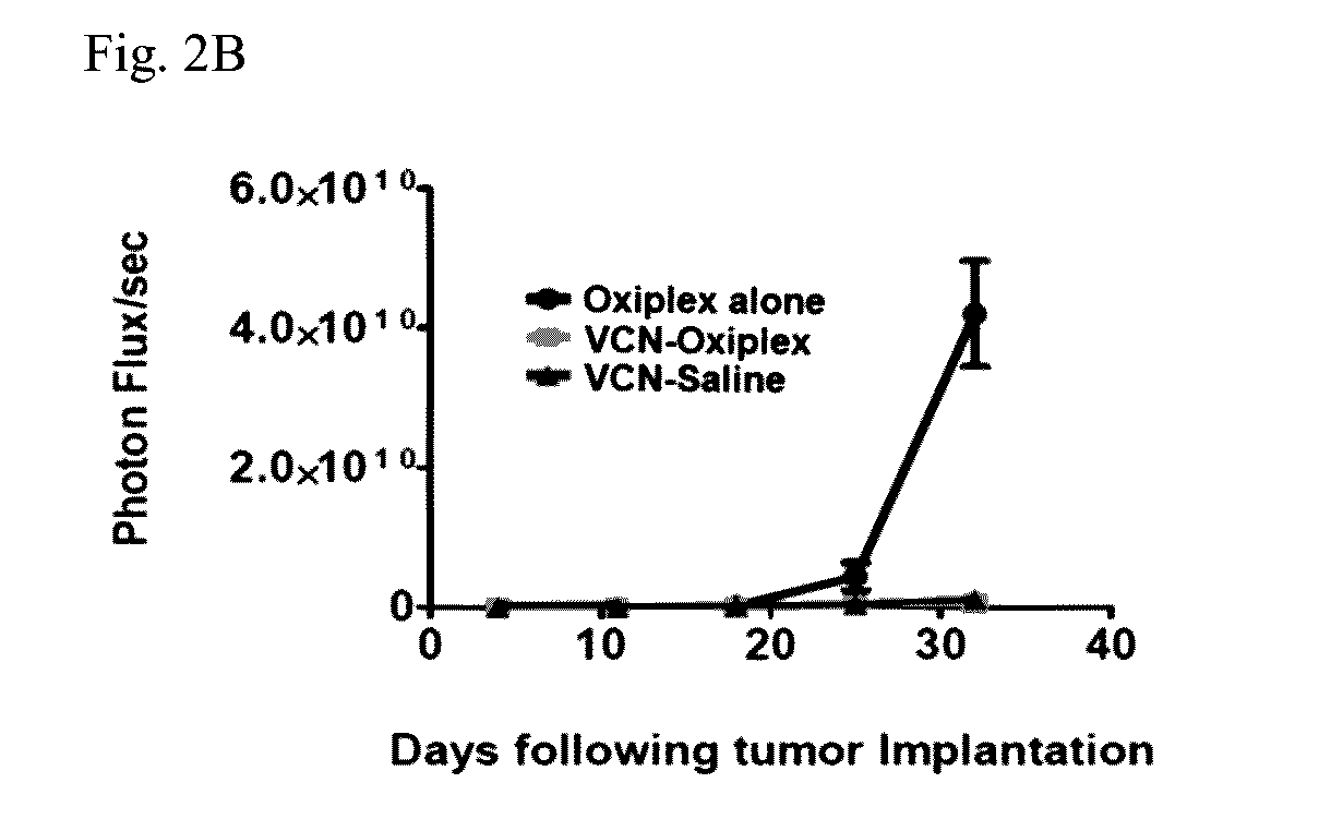 Compositions and methods for treating ovarian cancer including preventing the recurrence thereof