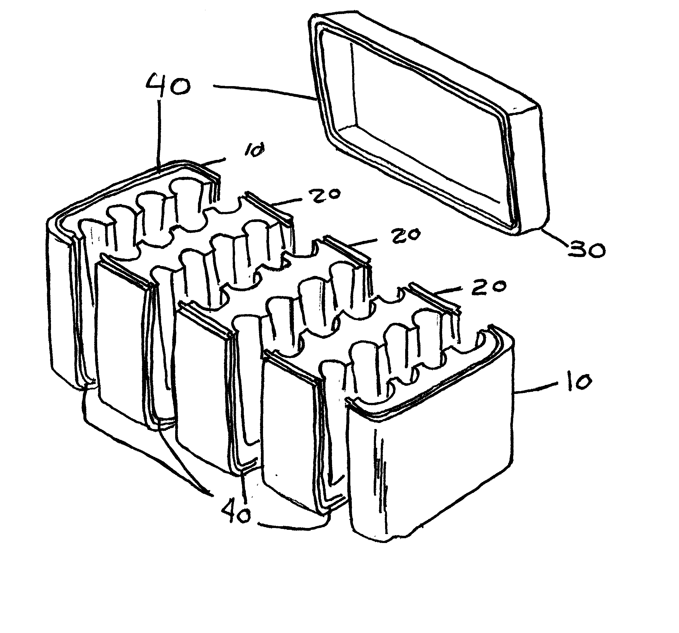 Lobster packing box system