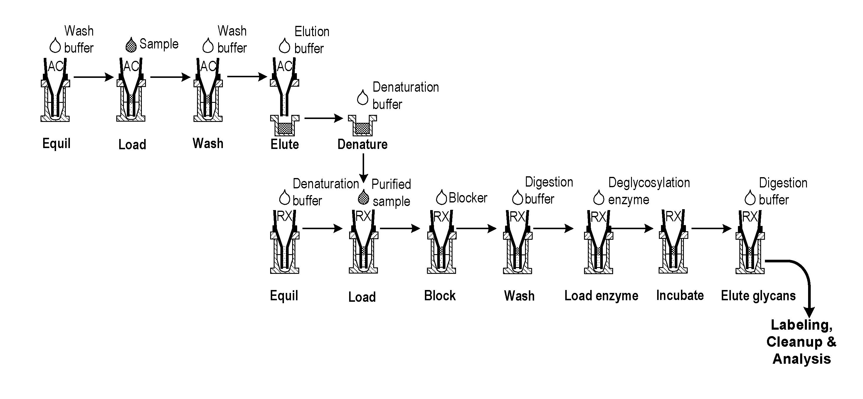 Isolation and deglycosylation of glycoproteins