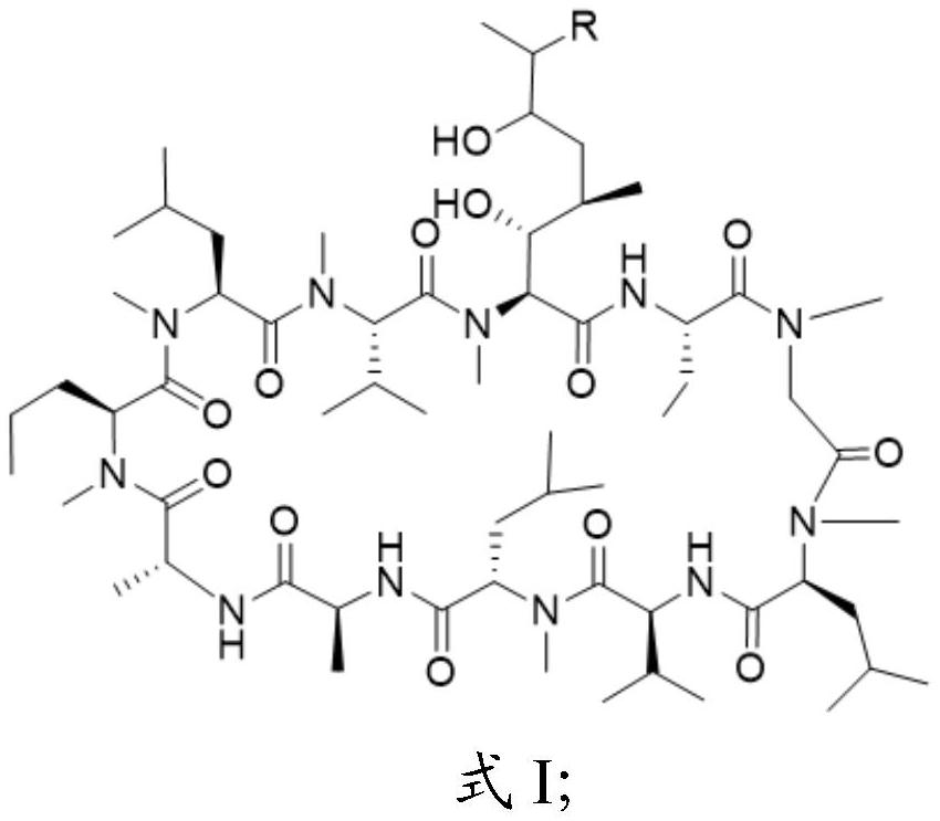 Cyclosporine A derivative as well as preparation method and application thereof