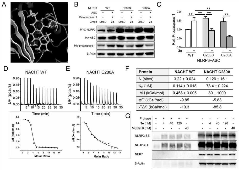 Application of tripdiolide in preparation of medicine for preventing and/or treating NLRP3 inflammasome-mediated inflammatory diseases