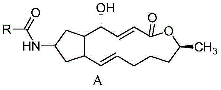 7-amide-brefeldin a derivative as well as preparation method and application of 7-amide-brefeldin a derivative