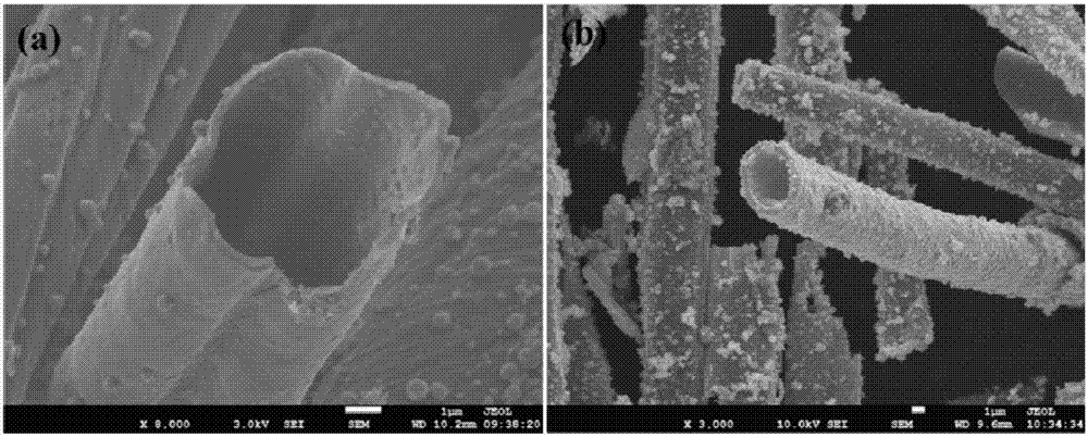 Preparation method of biomass-based hollow carbon microtube/nickel-cobalt metal sulfide composite electrode material