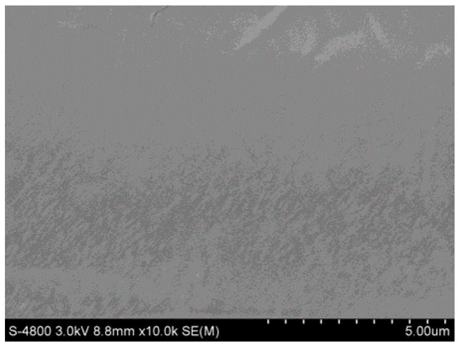 Nafion/amino acid-modified hollow mesoporous silicon hybrid membrane and preparation method and application thereof