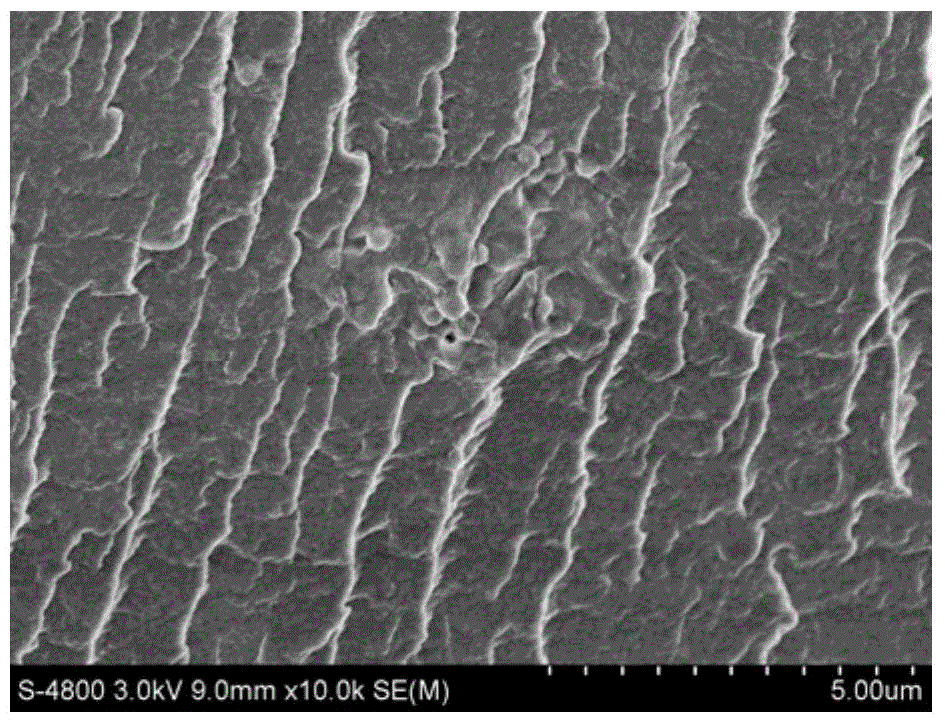 Nafion/amino acid-modified hollow mesoporous silicon hybrid membrane and preparation method and application thereof