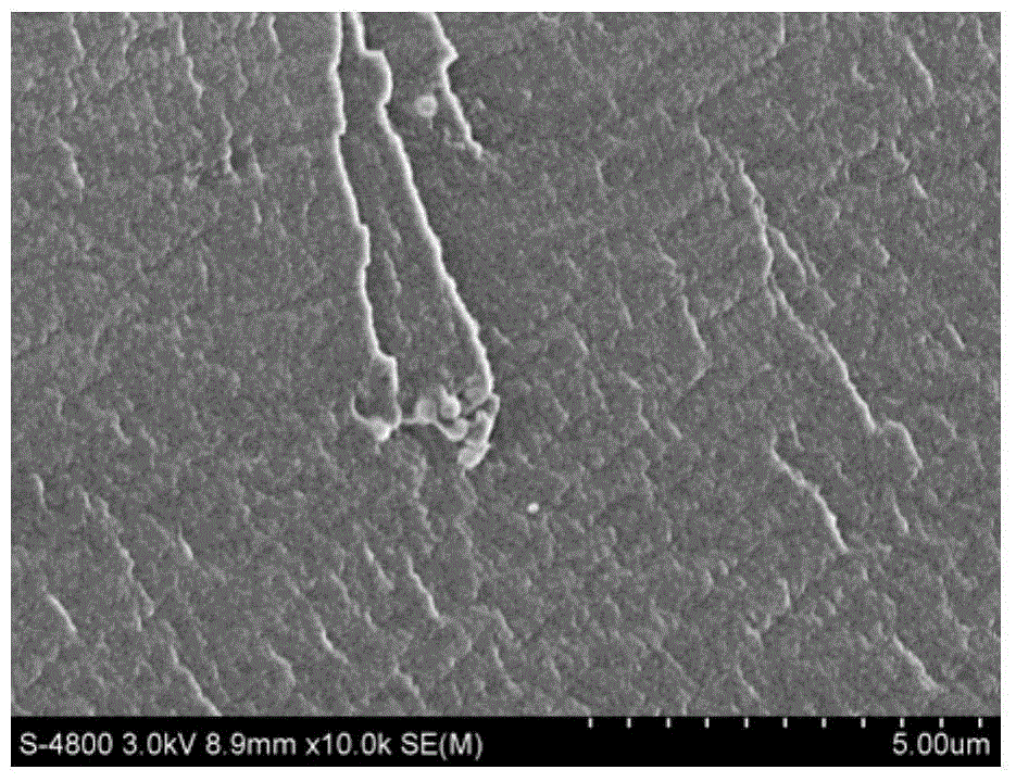 Nafion/amino acid-modified hollow mesoporous silicon hybrid membrane and preparation method and application thereof