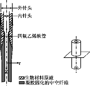 One-stop preparation method of vascularized life structure body