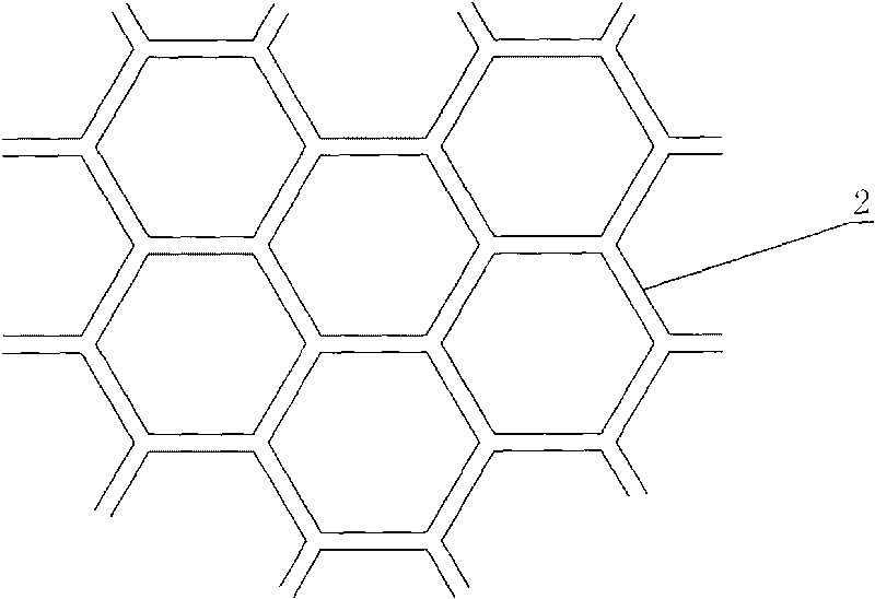 Honeycomb tendon drawing type anti-crack road surface