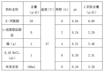 Preparation process of L-carnosine synthetase