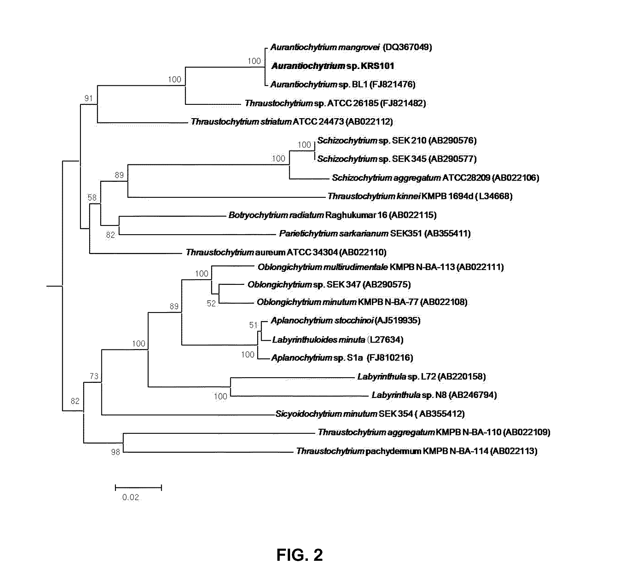 Novel thraustochytrid-based microalgae, and method for preparing bio-oil by using same