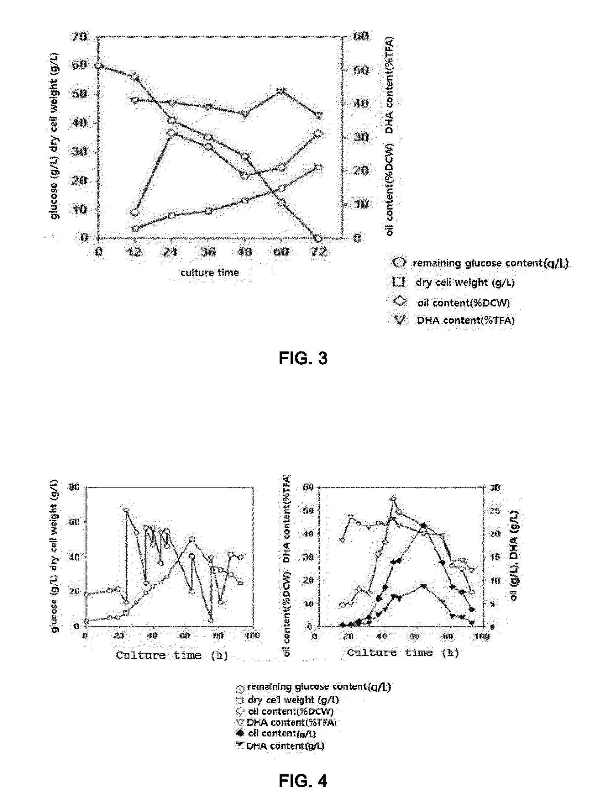 Novel thraustochytrid-based microalgae, and method for preparing bio-oil by using same