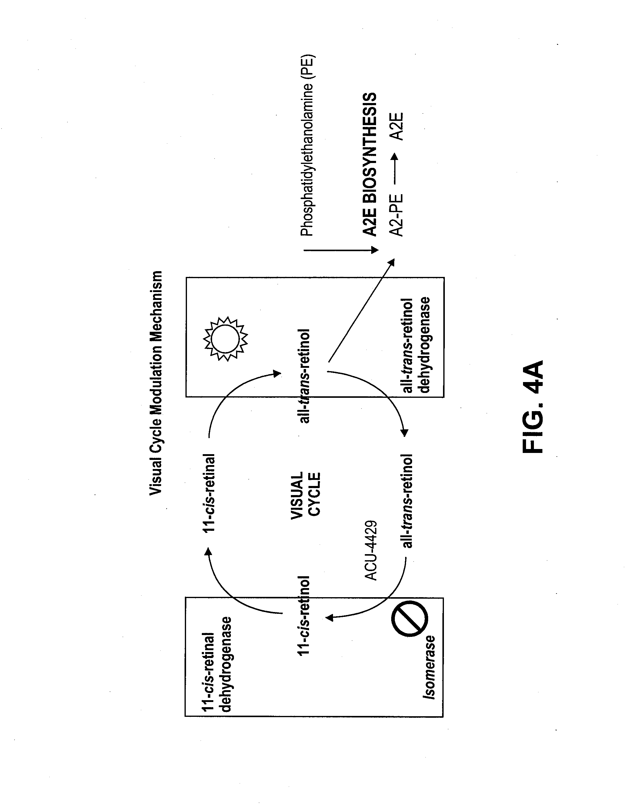 Methods for the treatment of diabetic retinopathy and other ophthalmic diseases