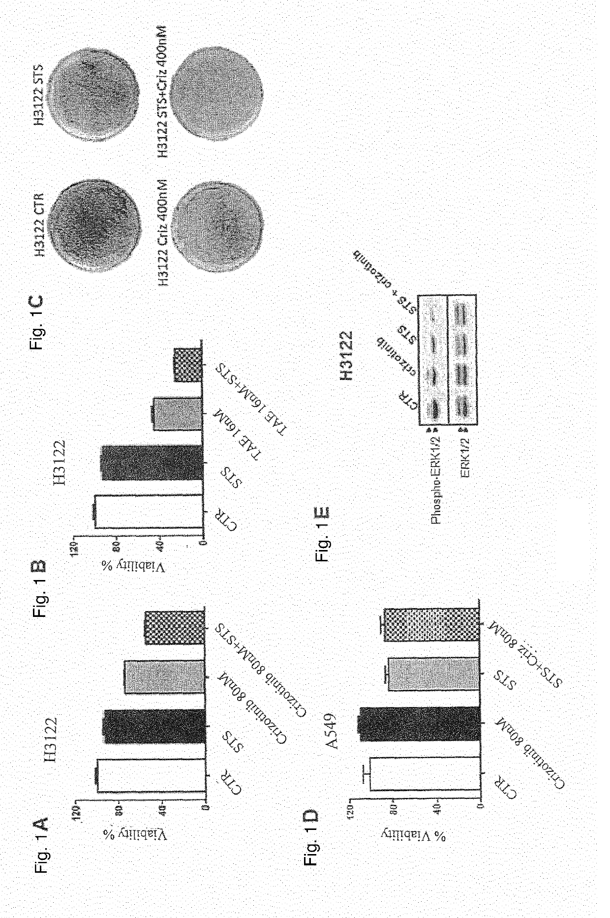 Tyrosine kinase inhibitors for use in a method of treating cancer in association with a reduced caloric intake