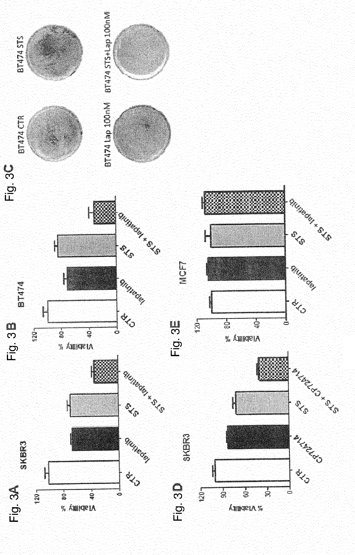 Tyrosine kinase inhibitors for use in a method of treating cancer in association with a reduced caloric intake