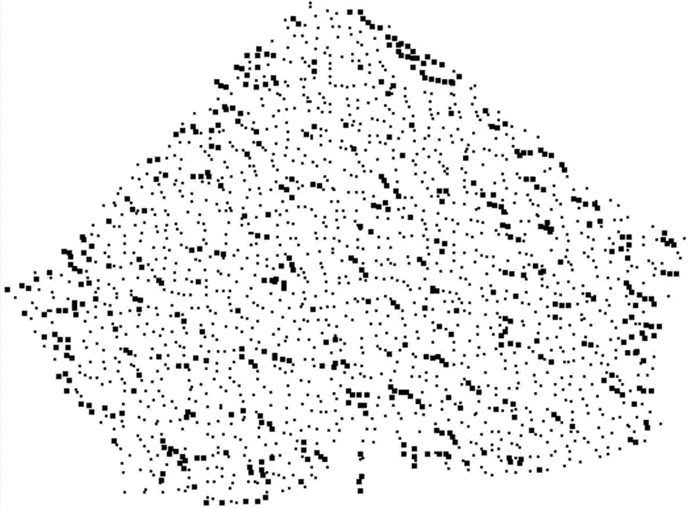 Grid rebuilding method based on scattered-point cloud feature