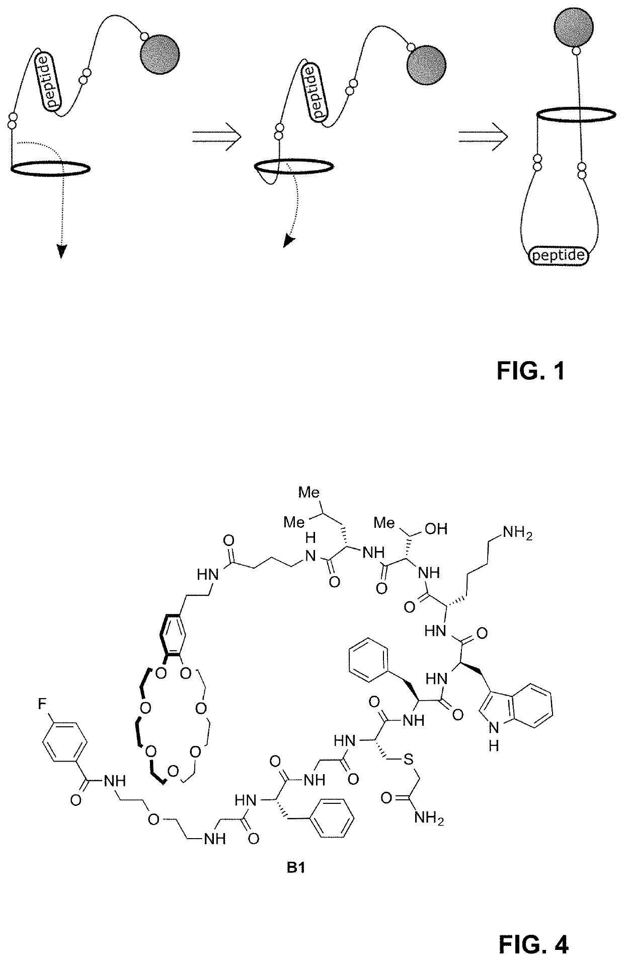 Lasso structures and their synthesis