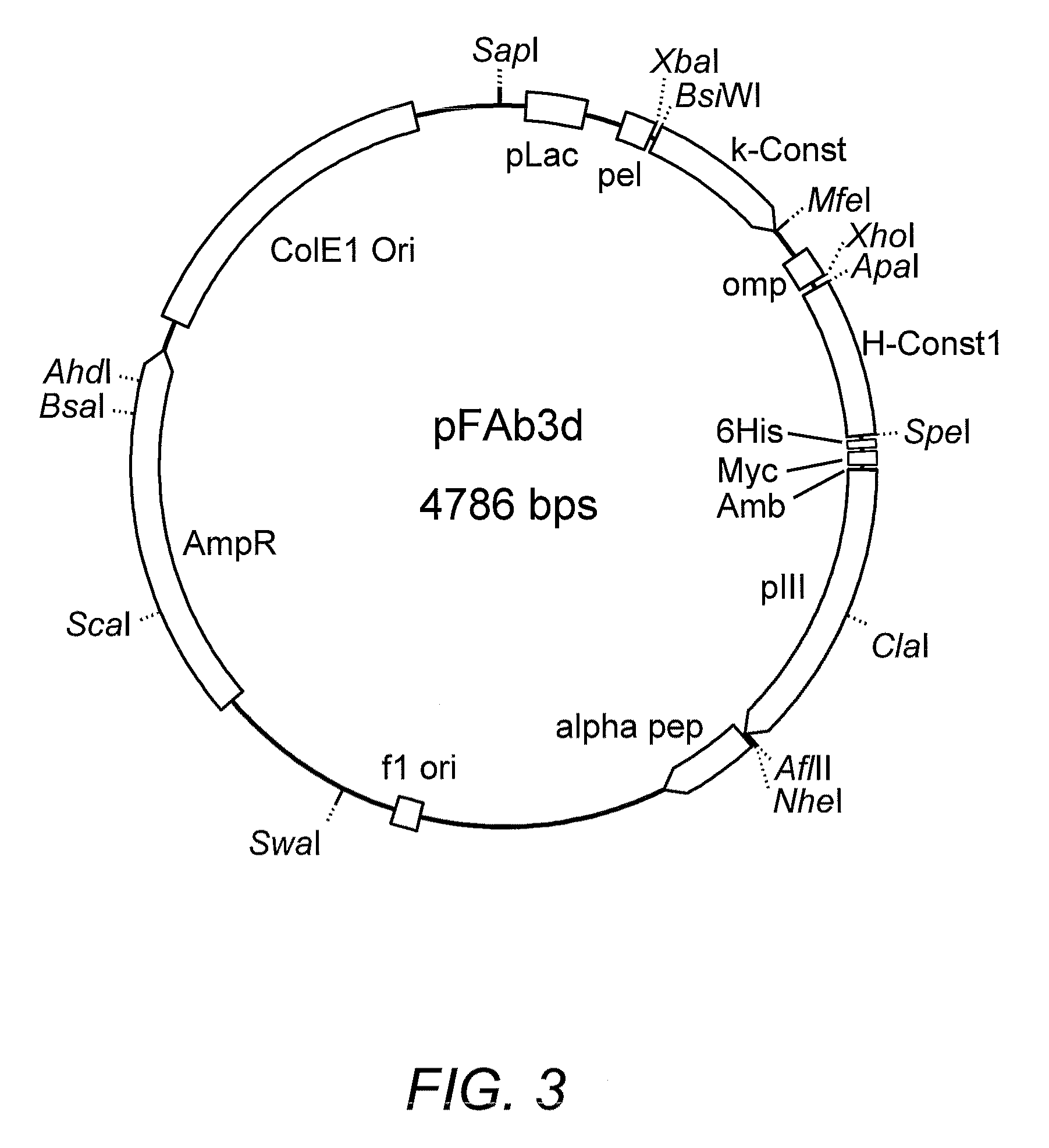 High affinity antibody antagonists of interleukin-13 receptor alpha 1