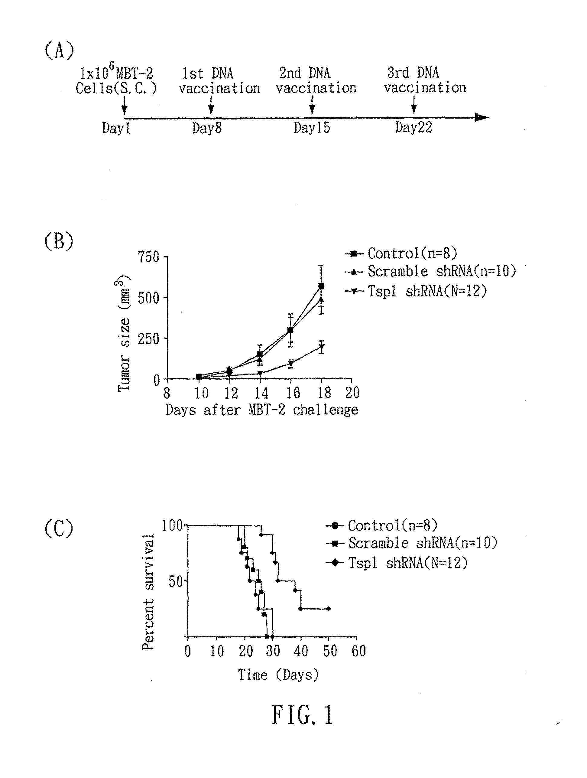 RNAi COMPOUND TARGETED TO THROMBOSPONDIN-1 AND APPLICATIONS THEREOF