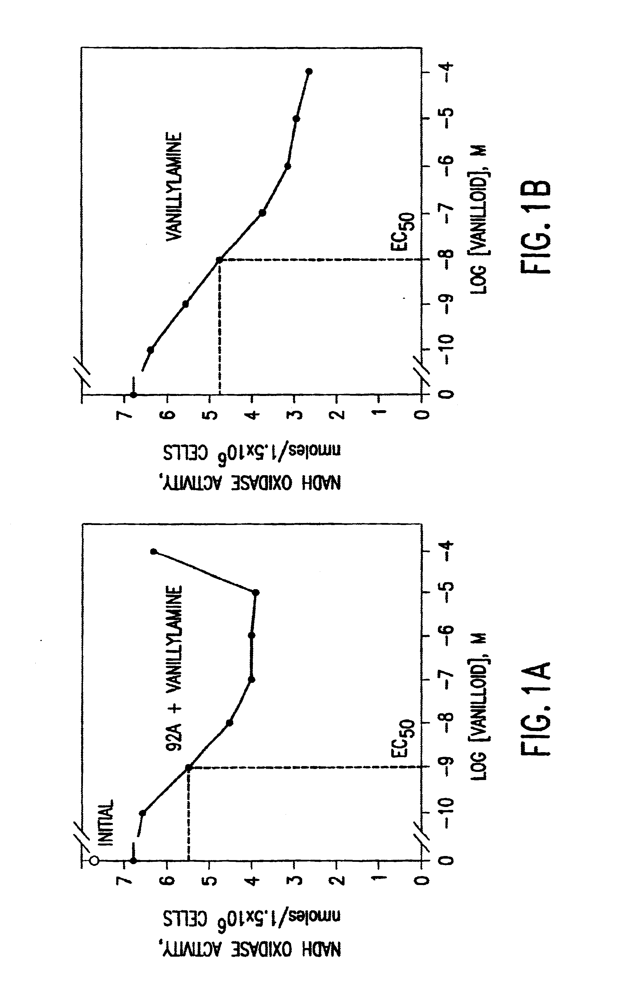 Compositions based on vanilloid-catechin synergies for prevention and treatment of cancer