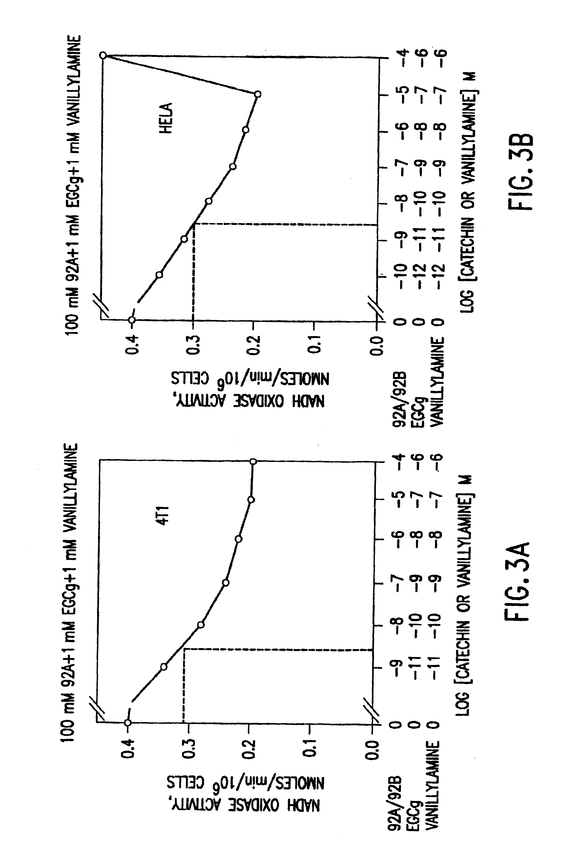 Compositions based on vanilloid-catechin synergies for prevention and treatment of cancer