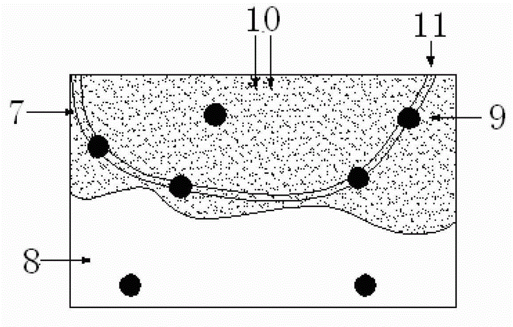 Microbial microcapsule anti-sulfate erosion system of structural concrete