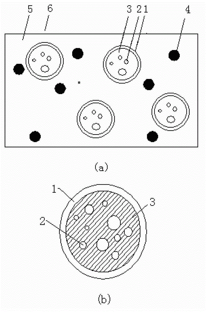 Microbial microcapsule anti-sulfate erosion system of structural concrete