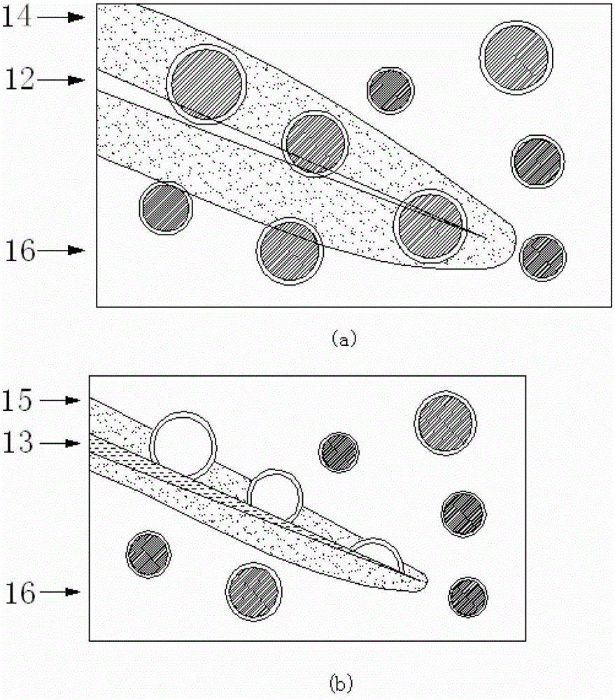 Microbial microcapsule anti-sulfate erosion system of structural concrete