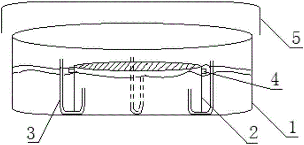 Culture dish for mature adipocyte ceiling culture