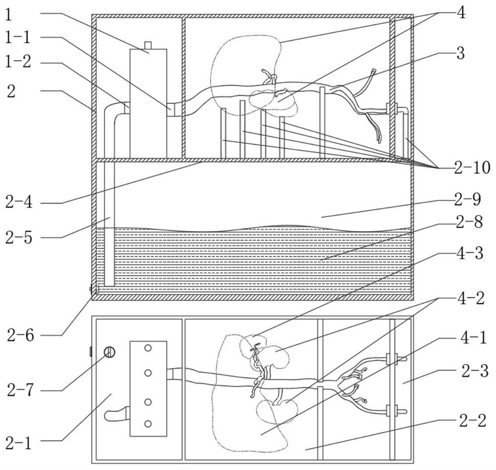 In-vitro simulation device for vascular intervention embolism treatment