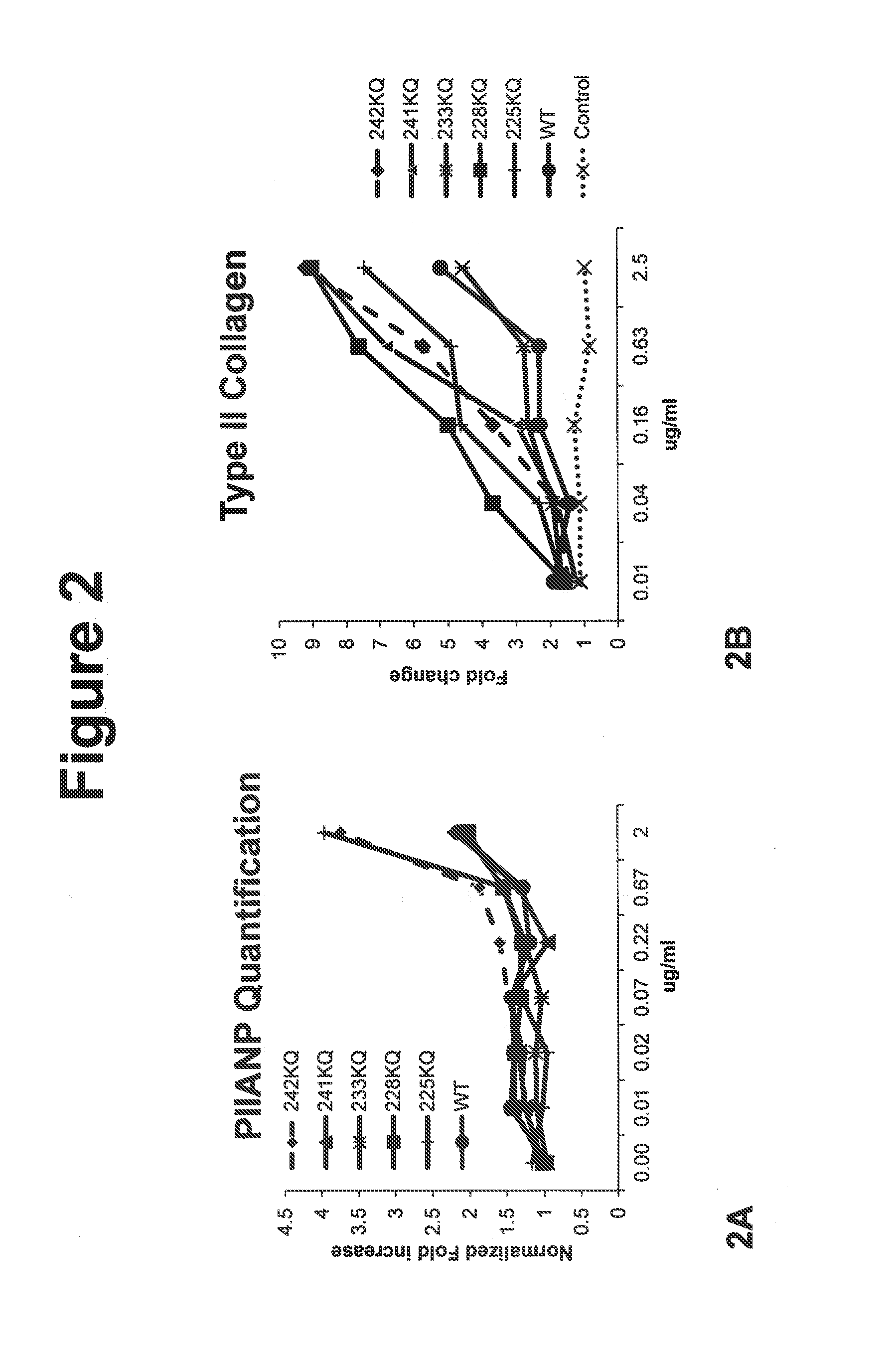 Peptides and compositions for treatment of joint damage