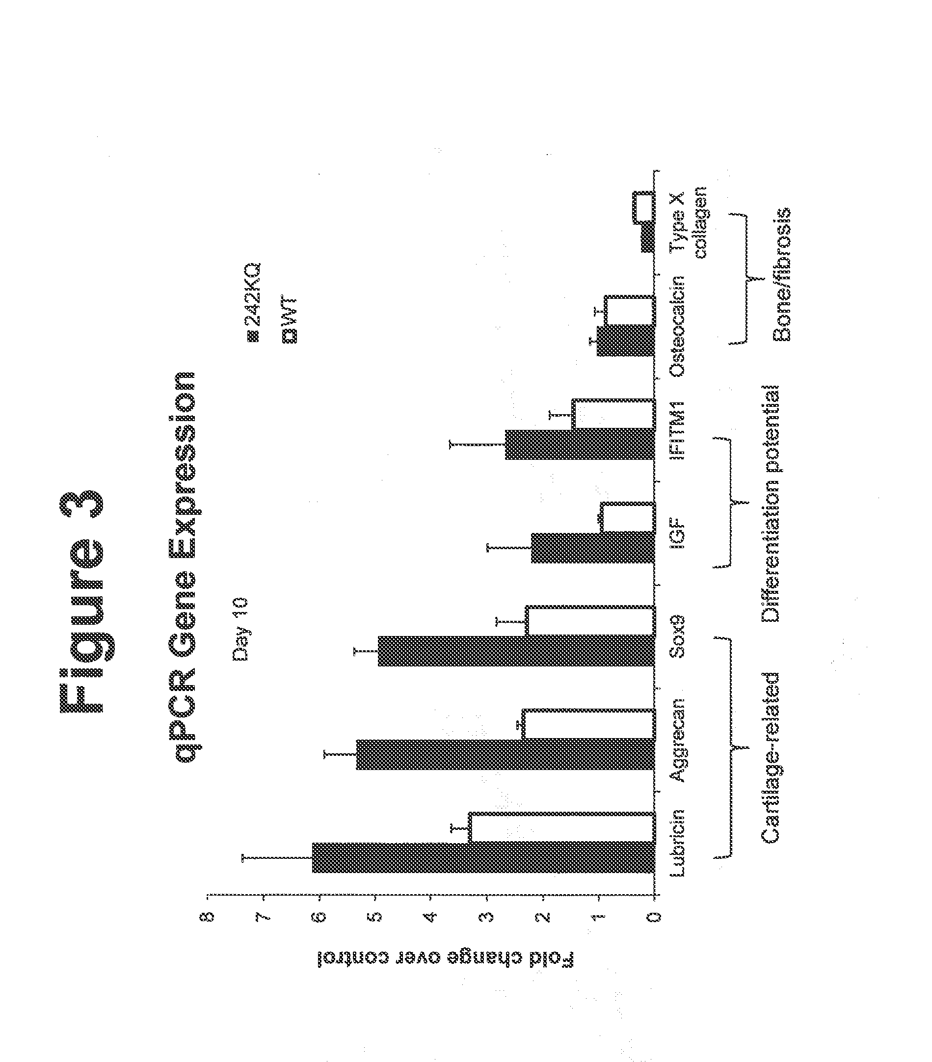 Peptides and compositions for treatment of joint damage