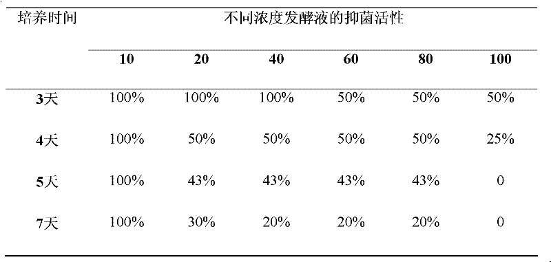 Penicillium capable of resisting false smut of rice and application thereof