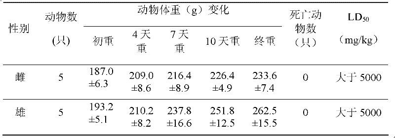 Penicillium capable of resisting false smut of rice and application thereof