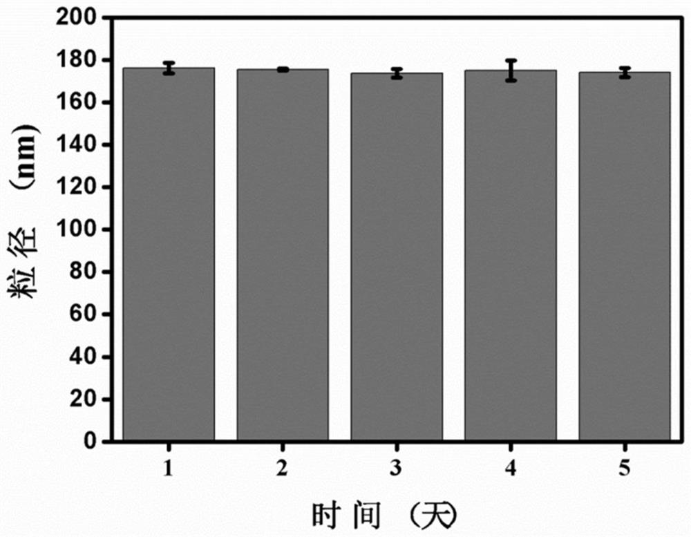 A kind of nanometer medicine and its preparation method and application