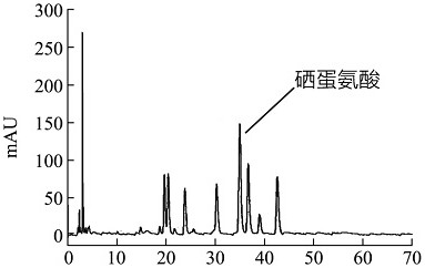 Preparation method for extracting, separating and purifying selenomethionine from cardamine hupingshanesis