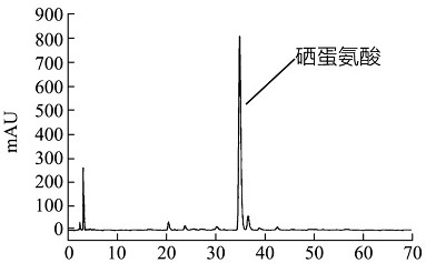 Preparation method for extracting, separating and purifying selenomethionine from cardamine hupingshanesis